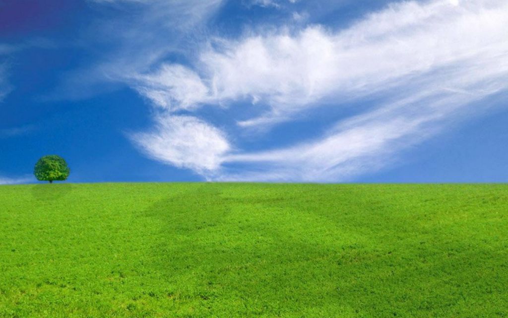 Новые предложения по экологической политике обсудила рабочая группа Госсовета