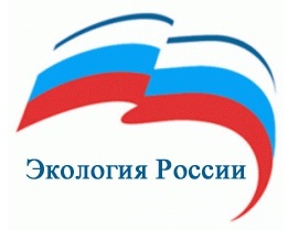 Андрей Шипелов назначен представителем Ростеха в партийном проекте «Экология России»